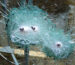 Bullet Resistant Glass